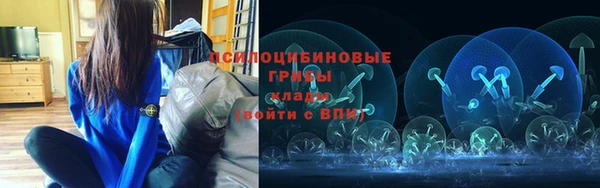 стаф Алексин