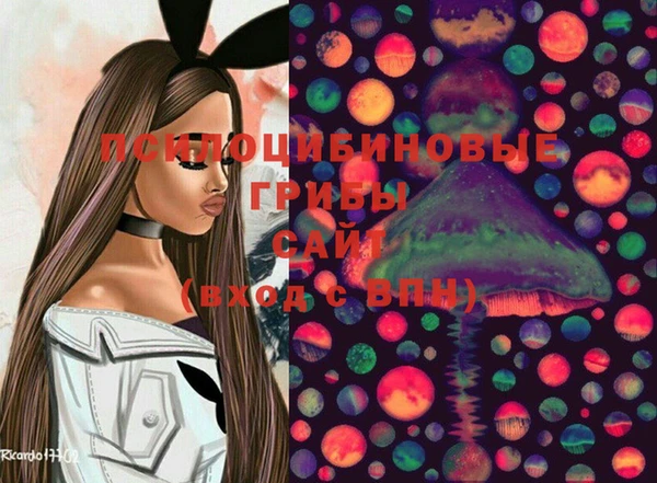 стаф Алексин