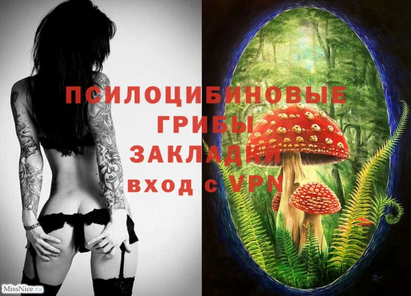 бошки Алзамай
