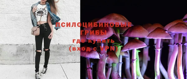 стаф Алексин