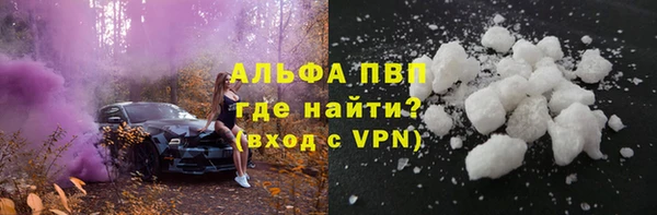 стаф Алексин