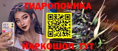 apvp Лесосибирск