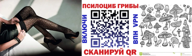 Псилоцибиновые грибы Cubensis  даркнет сайт  Фролово 